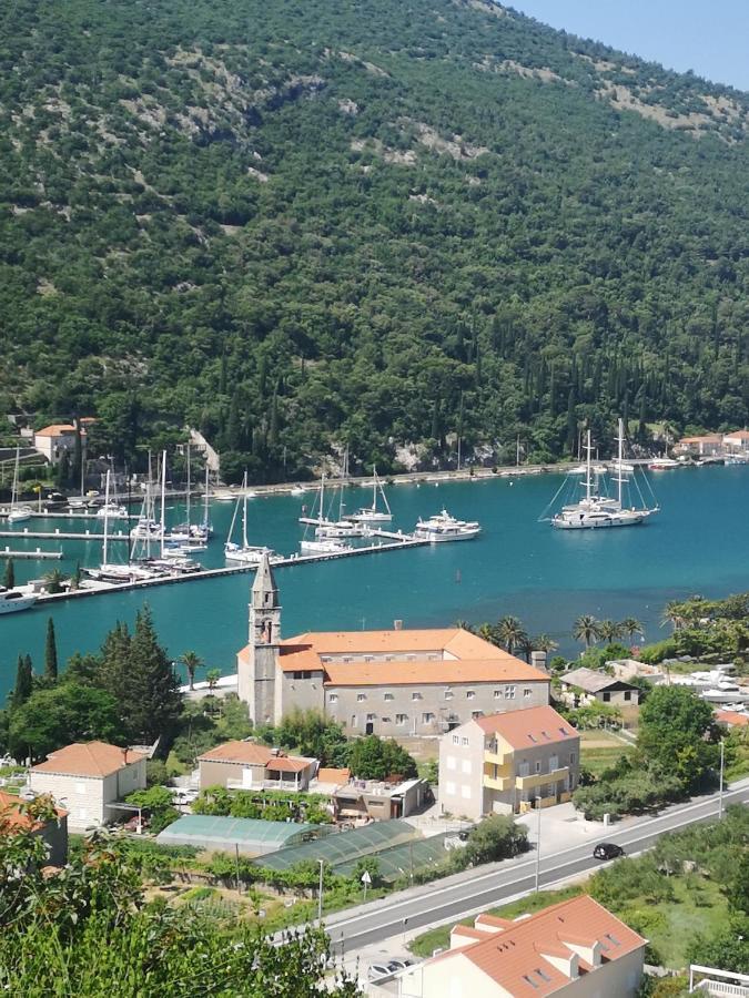 Apartment House Of Artichoke With Amazing Sea View, Dubrovnik Mokošica Dış mekan fotoğraf