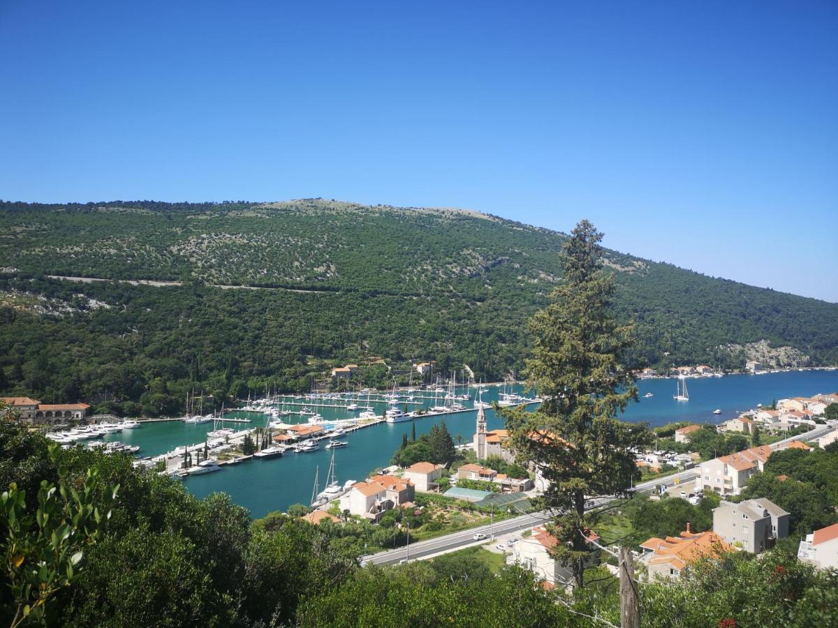 Apartment House Of Artichoke With Amazing Sea View, Dubrovnik Mokošica Dış mekan fotoğraf